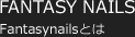 Fantasynailsとは